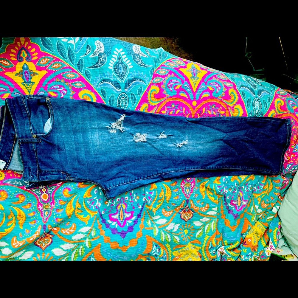 Torrid Bootcut Jeans